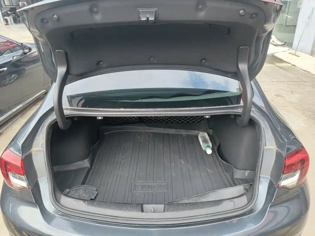 Buick Regal — миниатюра 19