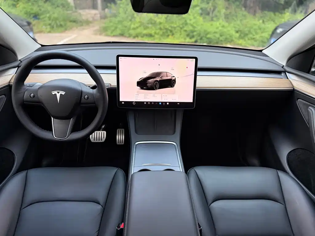 Tesla Model Y — миниатюра 11