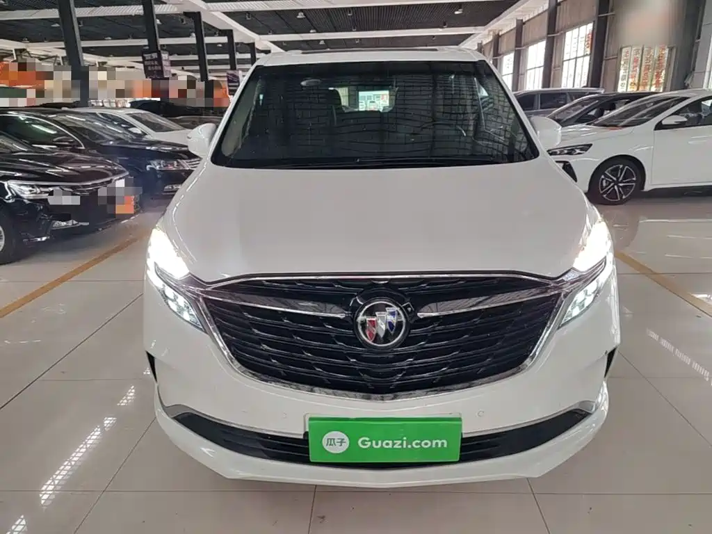 Buick GL8 — миниатюра 3