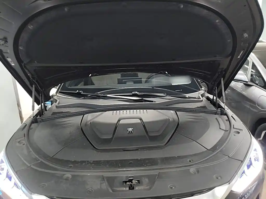 BYD PLUS New Energy — миниатюра 20