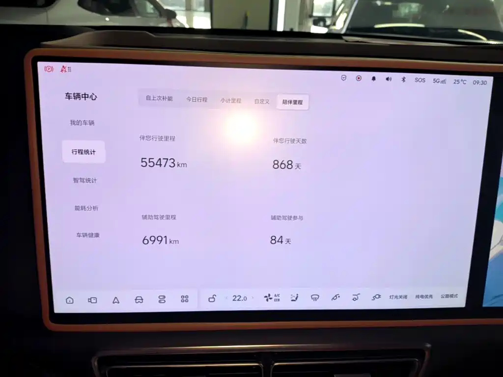 Li Auto Li L9 — миниатюра 12