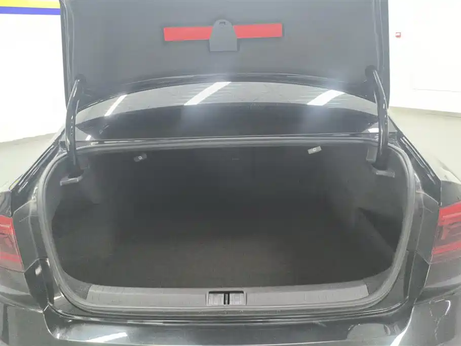Volkswagen Magotan 2020 330TSI DSG Lead