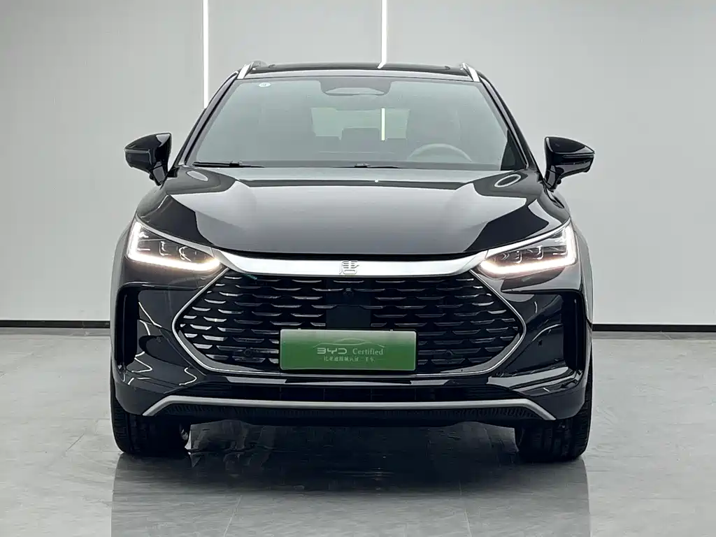BYD Tang New Energy — миниатюра 2