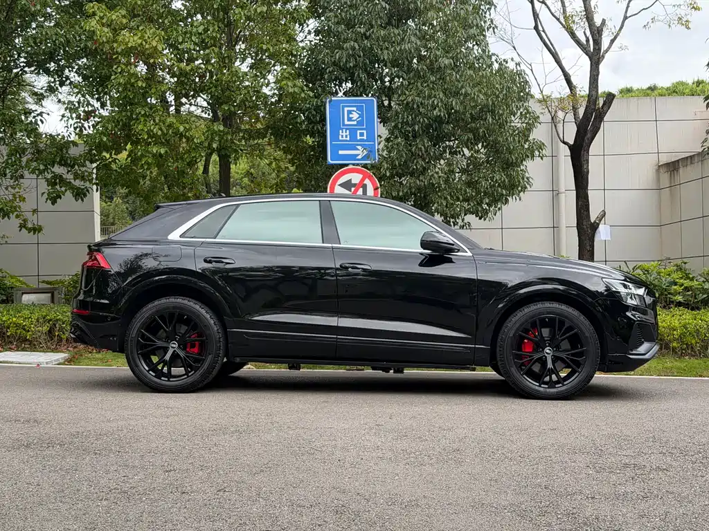 Audi Q8 — миниатюра 8
