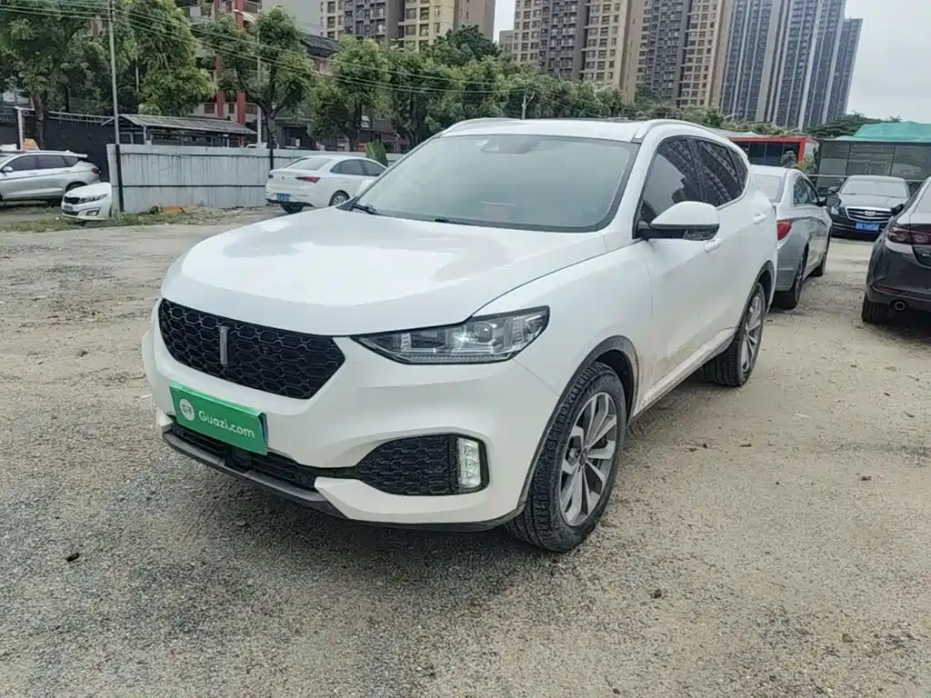 Wey Wey VV6 — миниатюра 2