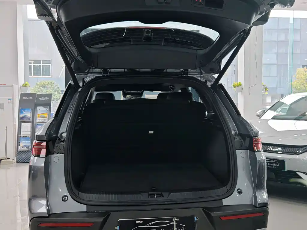 BYD Pro New Energy — миниатюра 9