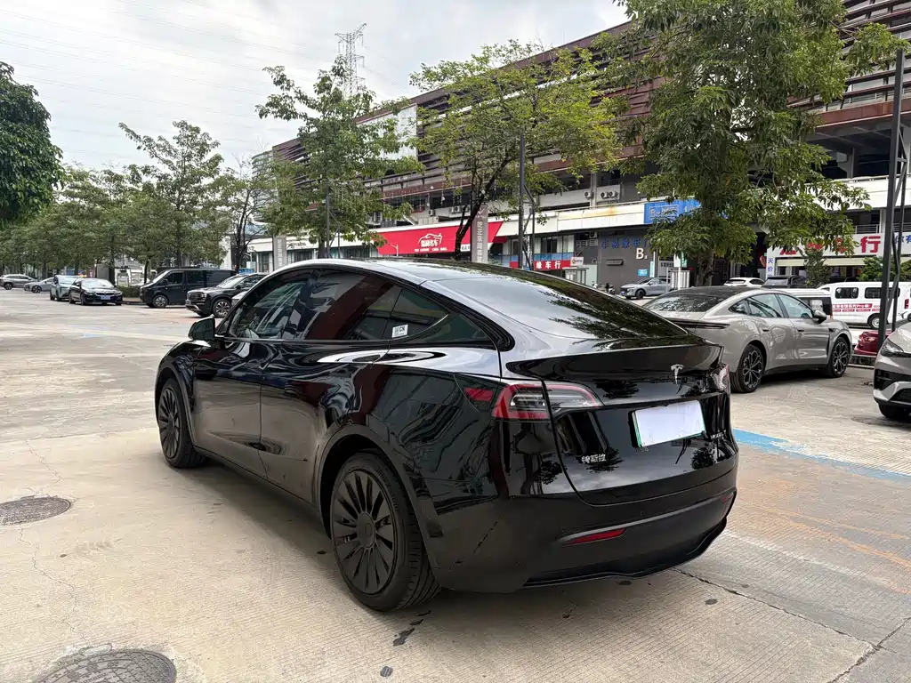 Tesla Model Y — миниатюра 6