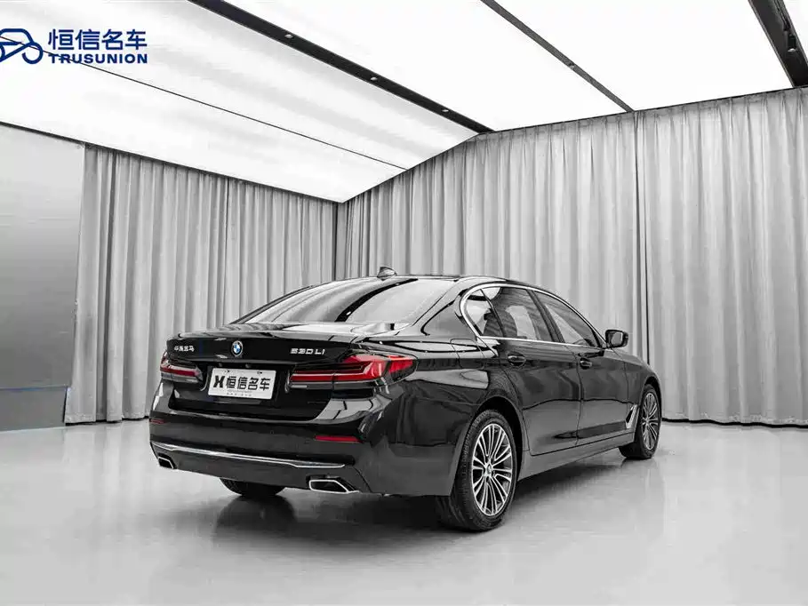 BMW 5 Series — миниатюра 5