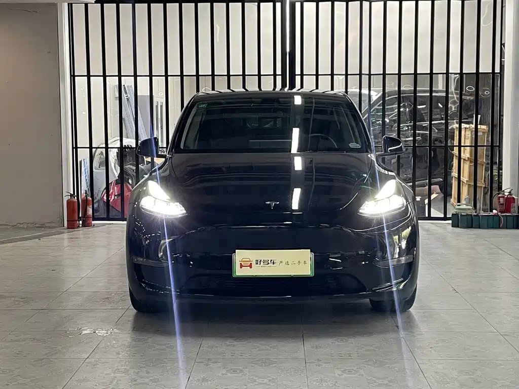 Tesla Model Y — миниатюра 2