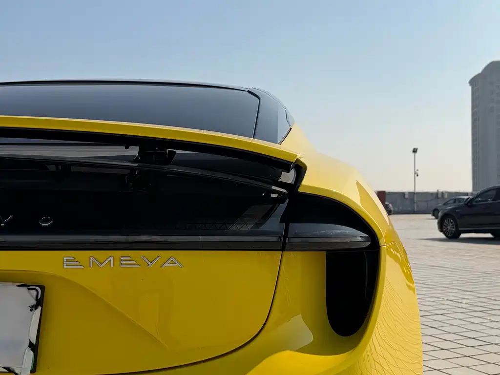 Lotus EMEYA — миниатюра 13