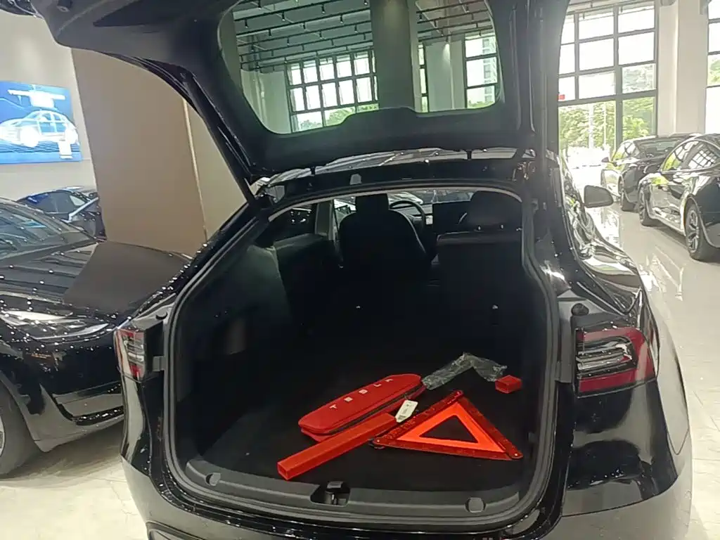 Tesla Model Y — миниатюра 19