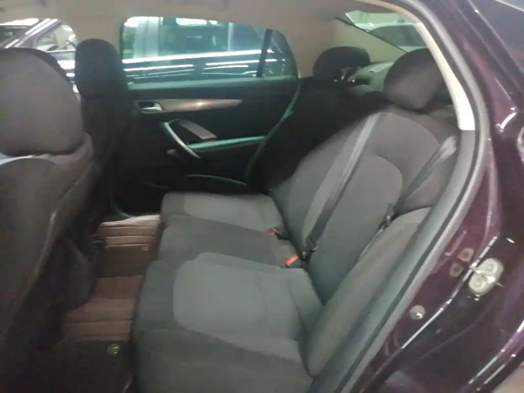 DS DS 5LS — миниатюра 17