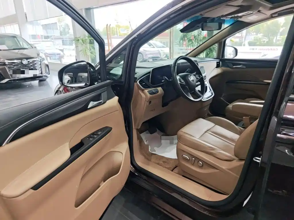 Buick GL8 — миниатюра 16