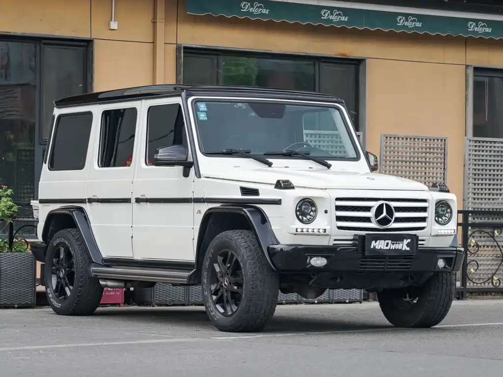 Mercedes-Benz G-Class G 2010 G 500