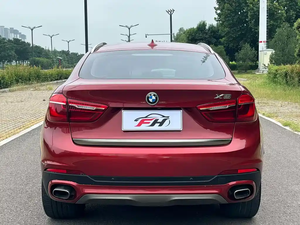 BMW X6 — миниатюра 15