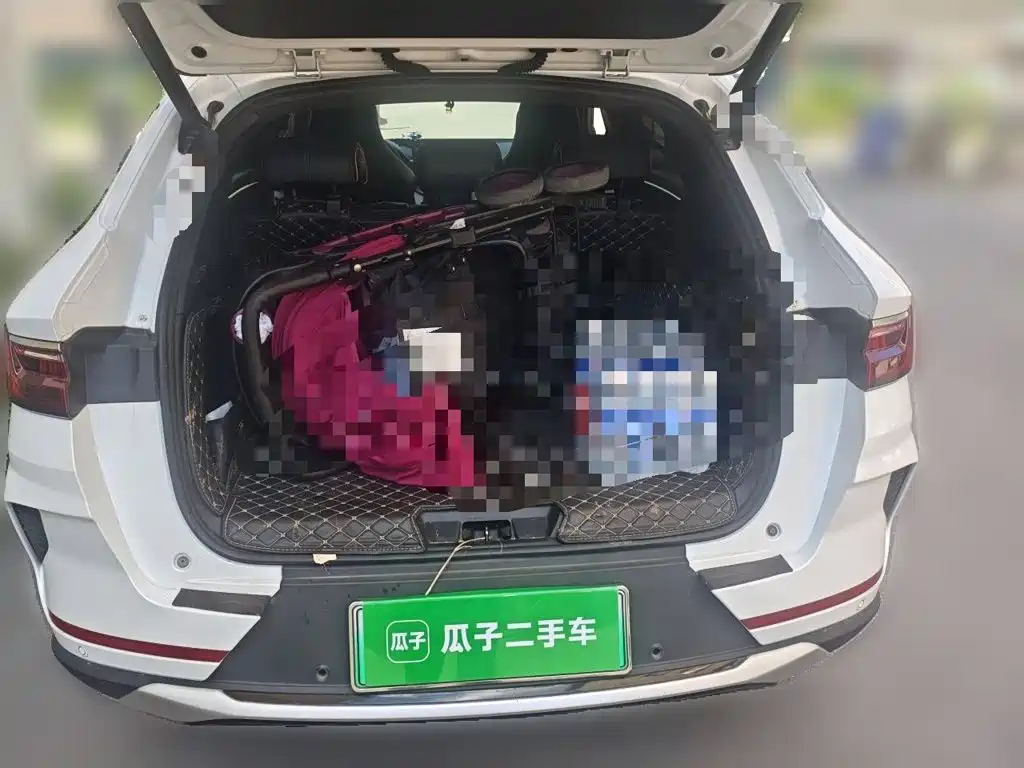 BYD PLUS New Energy — миниатюра 10