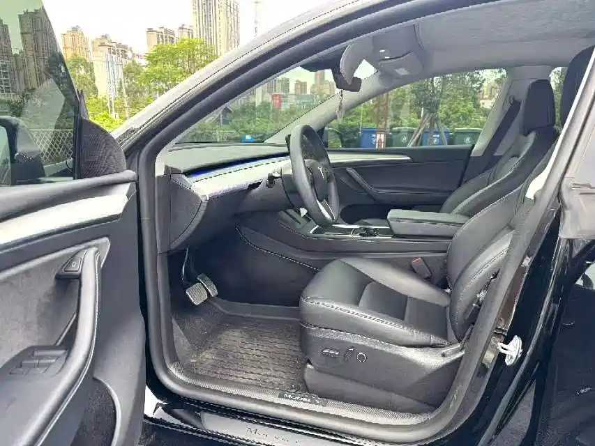 Tesla Model Y — миниатюра 6