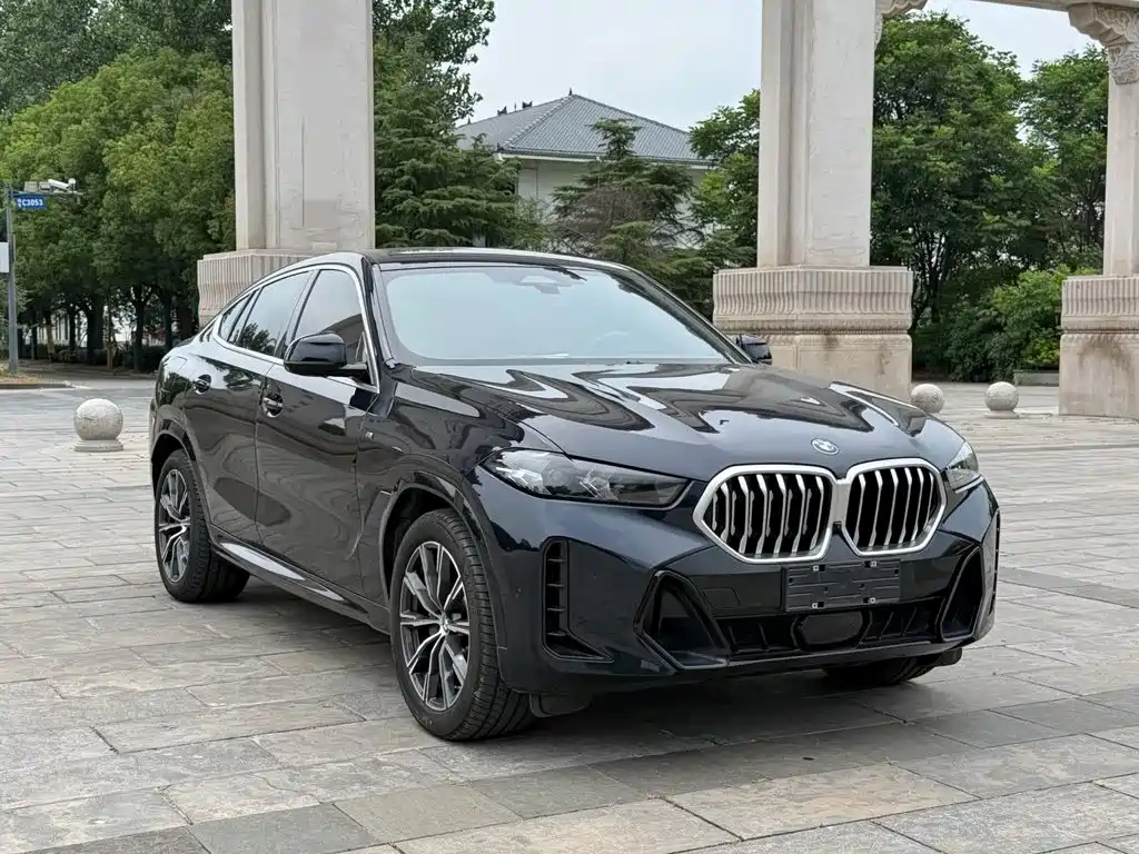 BMW X6 — миниатюра 3