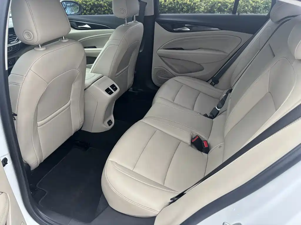 Buick Regal — миниатюра 10