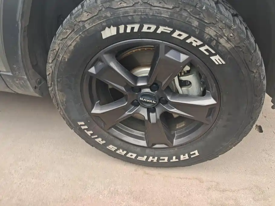 Haval Menglong New Energy — миниатюра 6