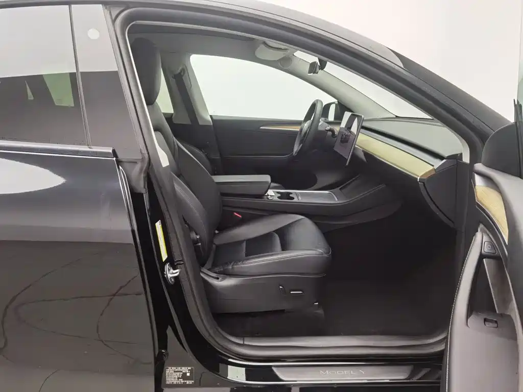 Tesla Model Y — миниатюра 23