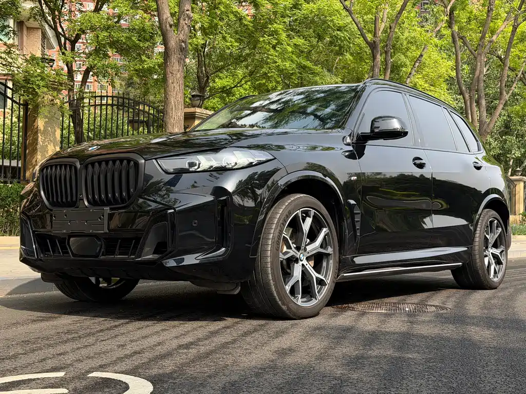 BMW X5 2024