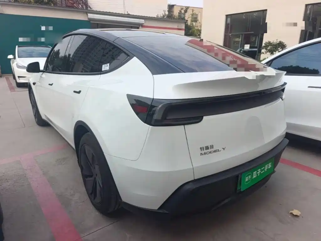 Tesla Model Y — миниатюра 5