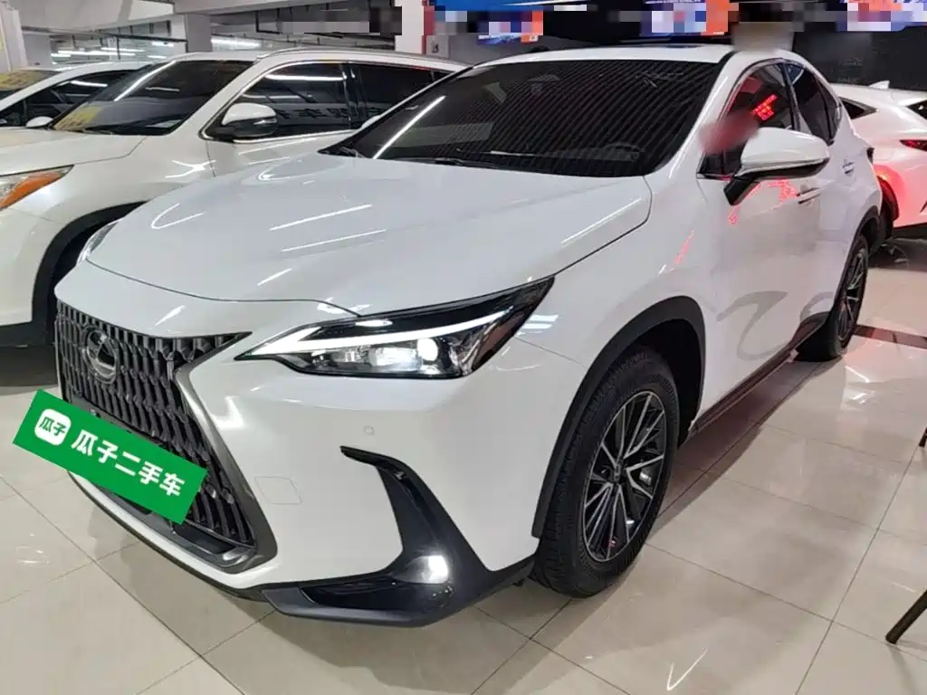 Lexus NX — миниатюра 2