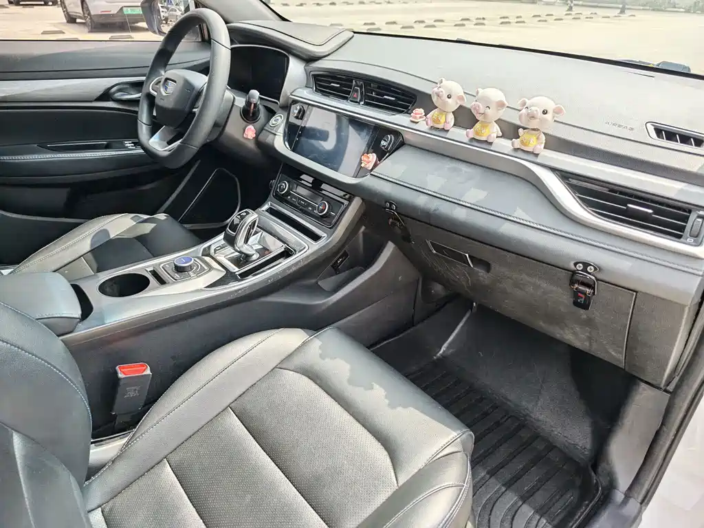 Geely New Energy — миниатюра 8