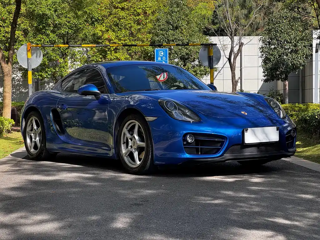 Porsche Cayman — миниатюра 4
