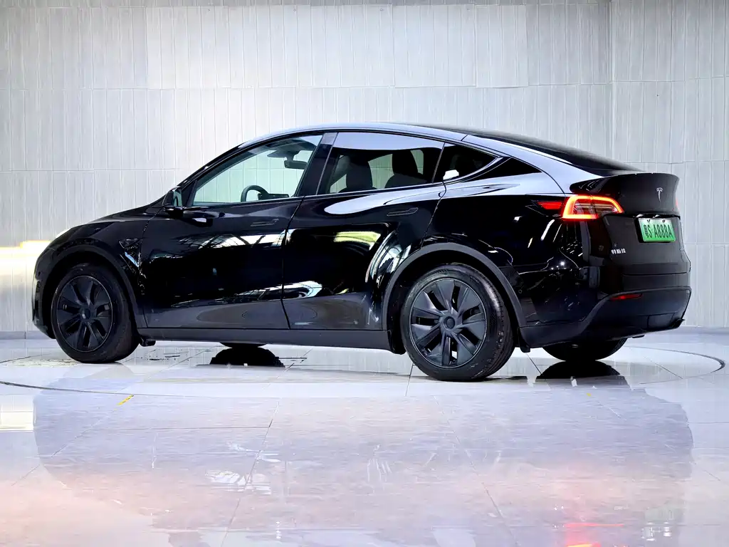 Tesla Model Y — миниатюра 5
