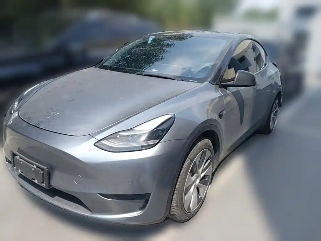 Tesla Model Y — миниатюра 3