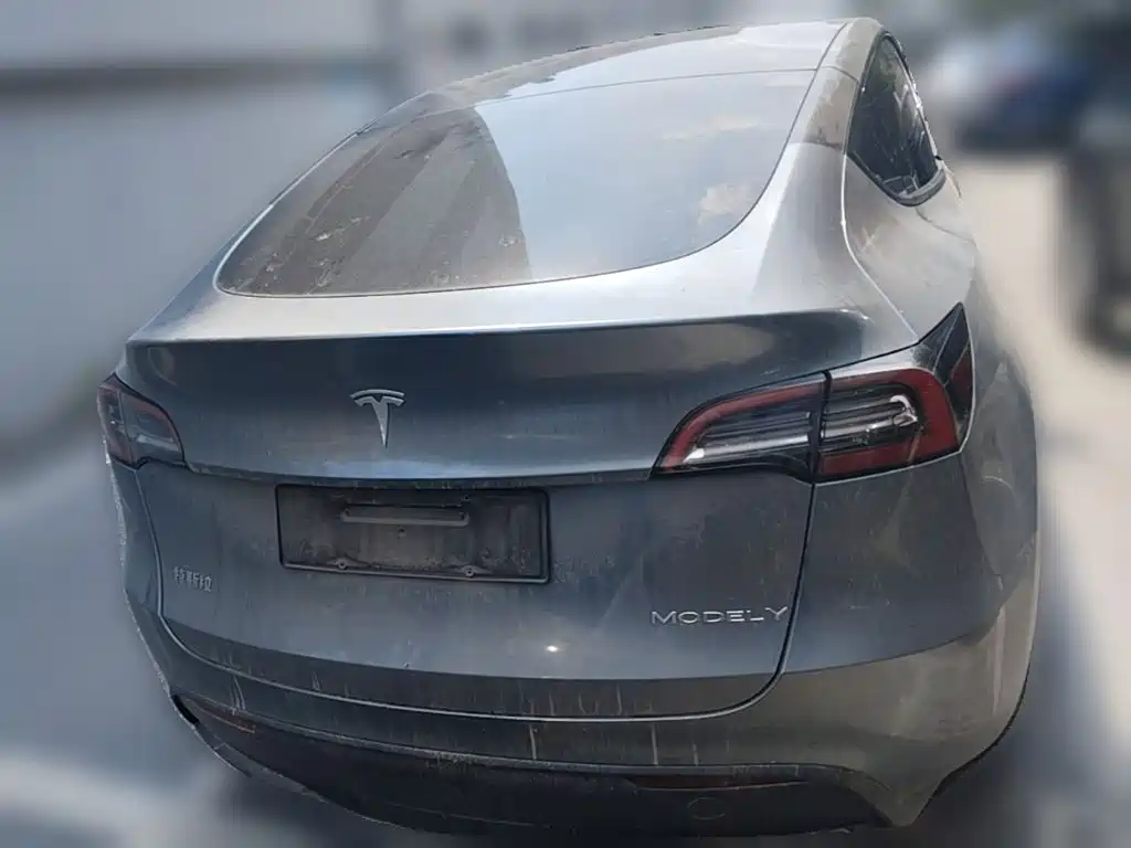 Tesla Model Y — миниатюра 8
