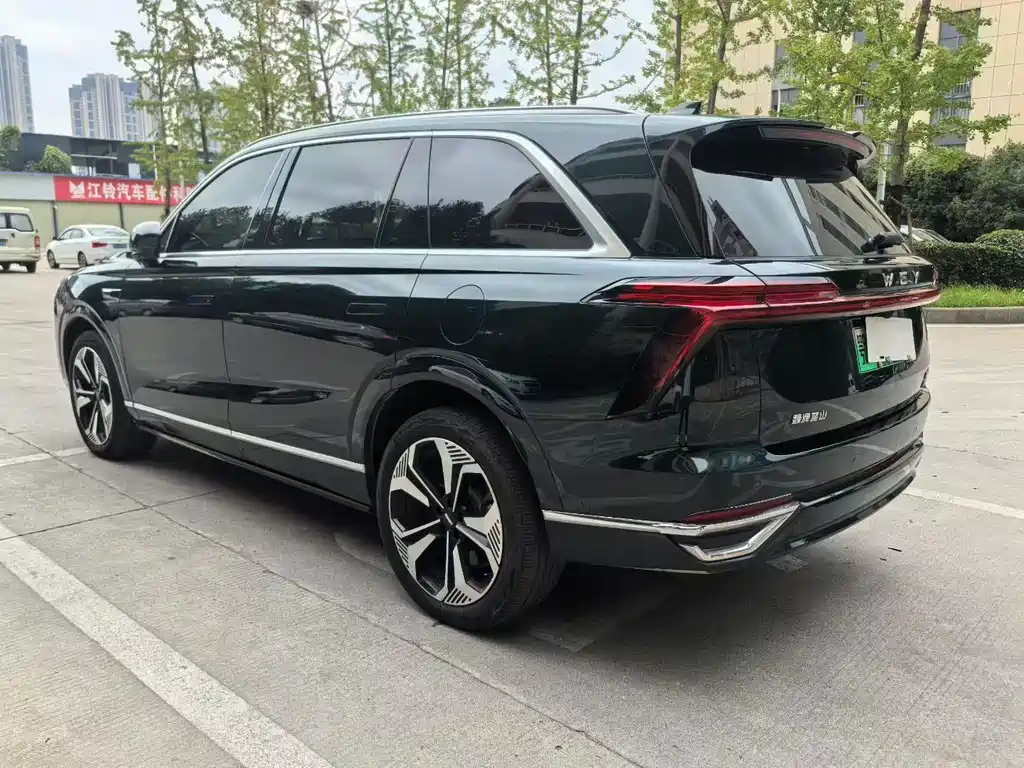 WEI PAI WEI BRAND BLUE MOUNTAIN