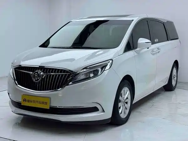 Buick GL8 — миниатюра 3