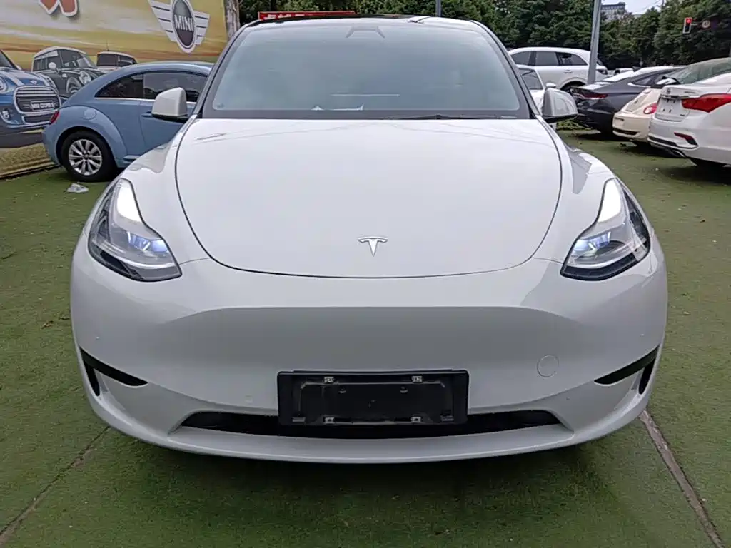 Tesla Model Y — миниатюра 3