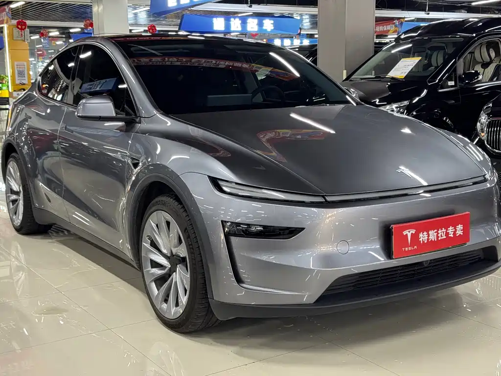Tesla Model Y — миниатюра 3