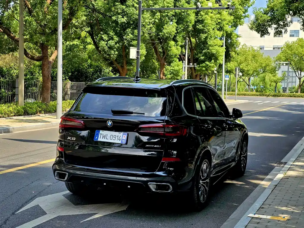 BMW X5 (Import) — миниатюра 12