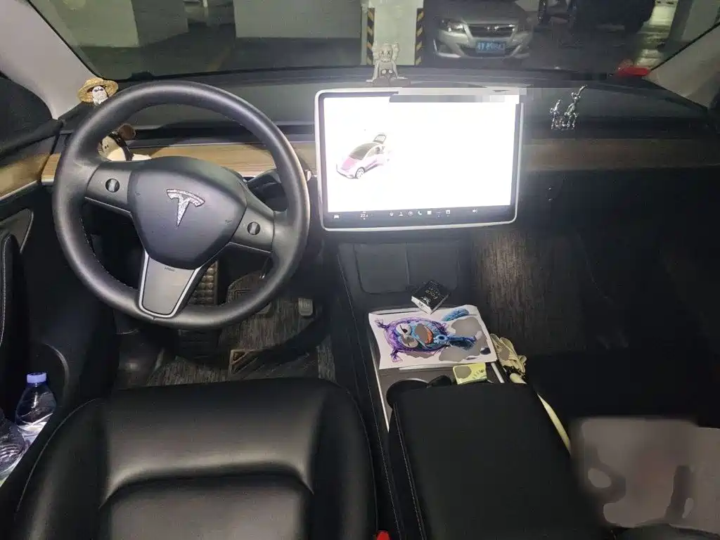 Tesla Model Y — миниатюра 13