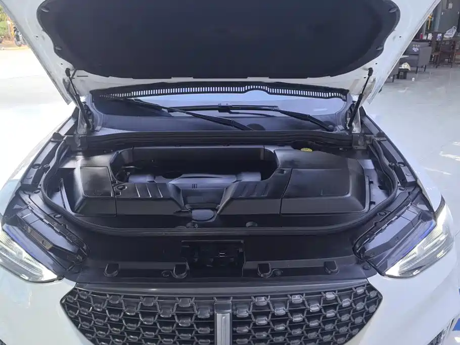 Wey Wey VV6 — миниатюра 10