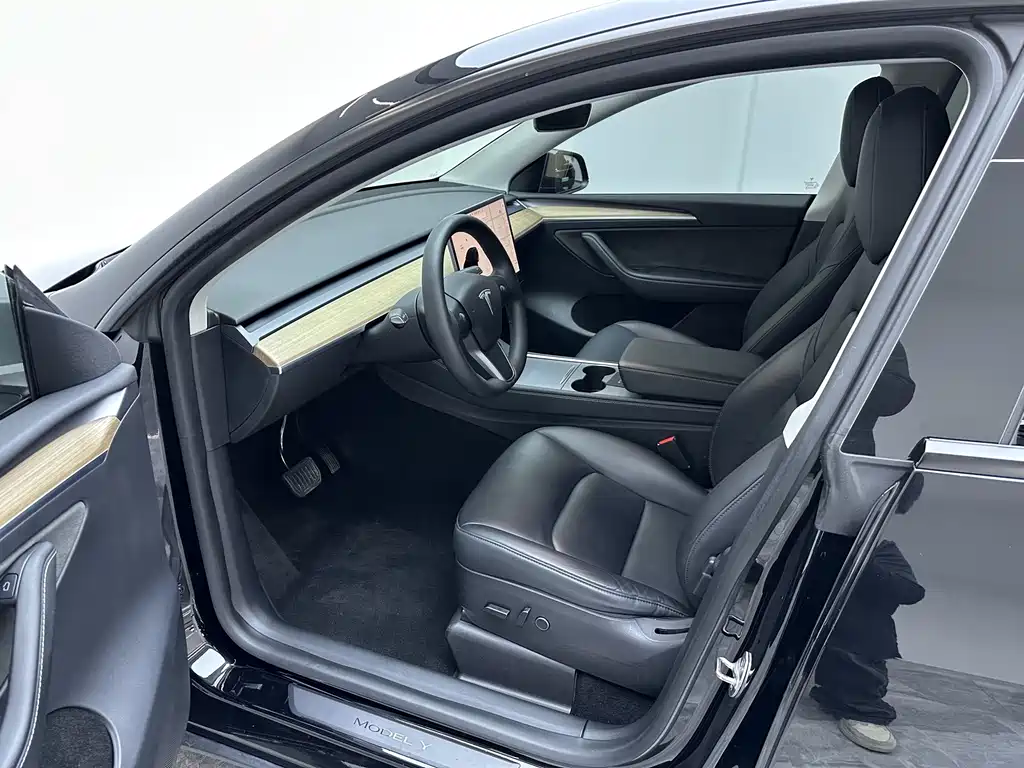 Tesla Model Y — миниатюра 15
