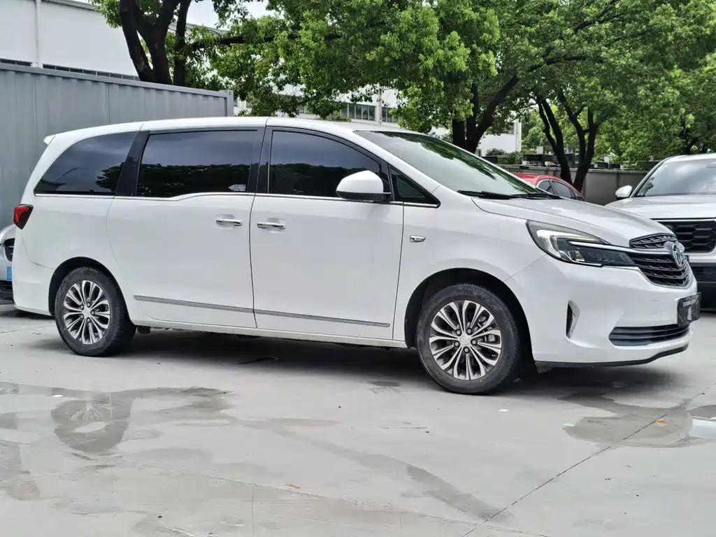 Buick GL8 — миниатюра 3