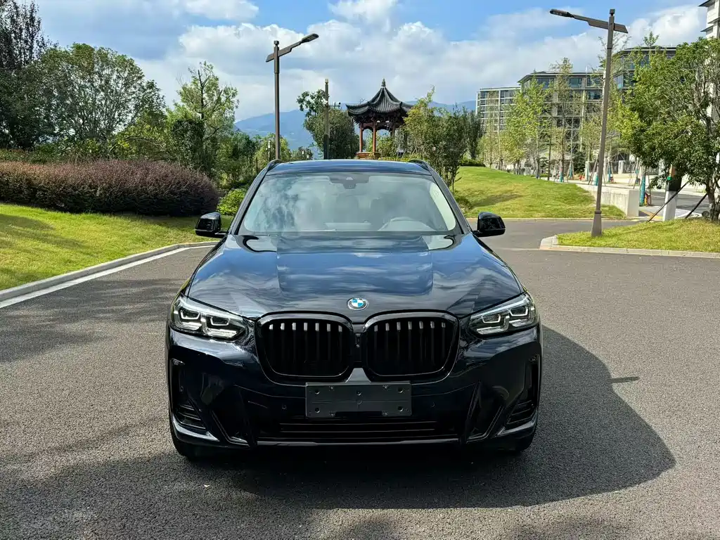 BMW X3 — миниатюра 2