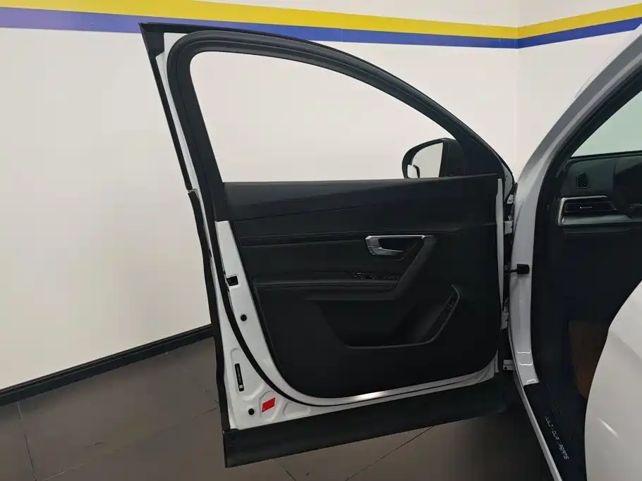 BYD Pro — миниатюра 7