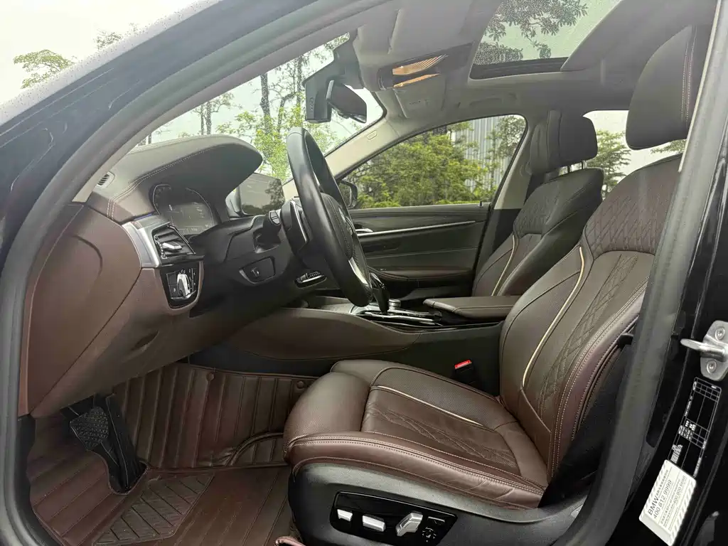 BMW 5 Series 5 2020 530Li Premium Luxury