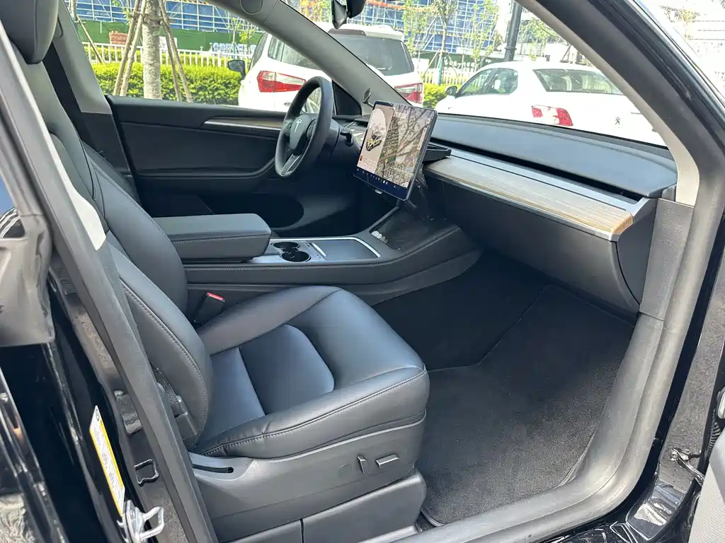Tesla Model Y — миниатюра 11