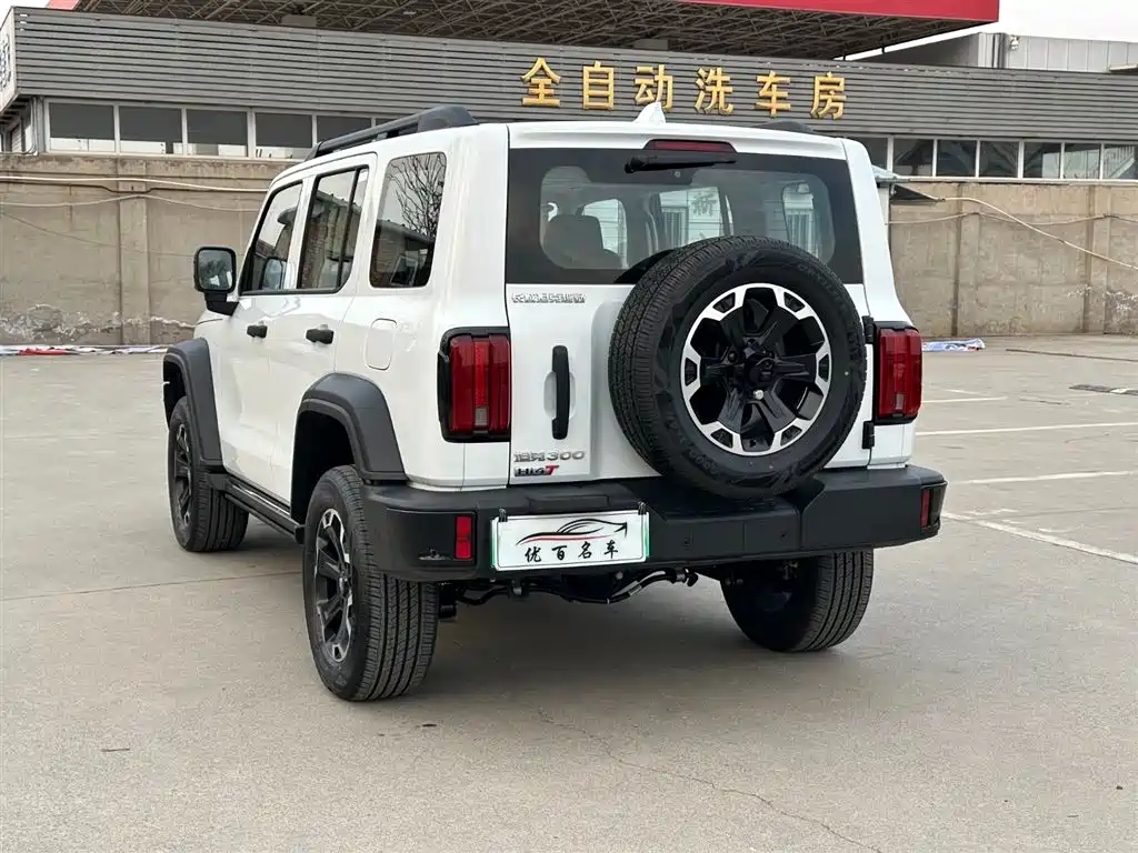 TANK TANK 300 NEW ENERGY