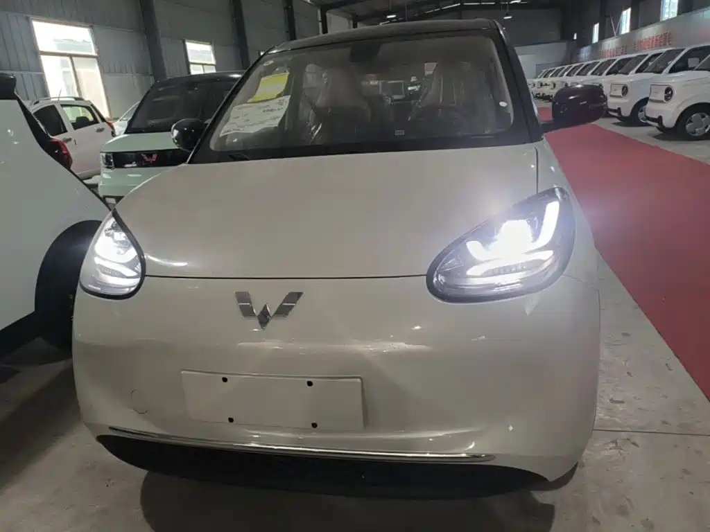 Wuling Binguo 2025 333km Enjoy