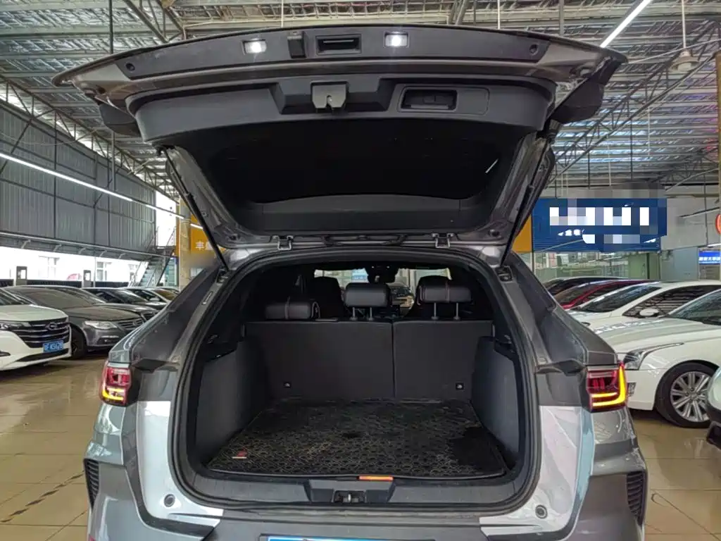 BYD PLUS — миниатюра 19