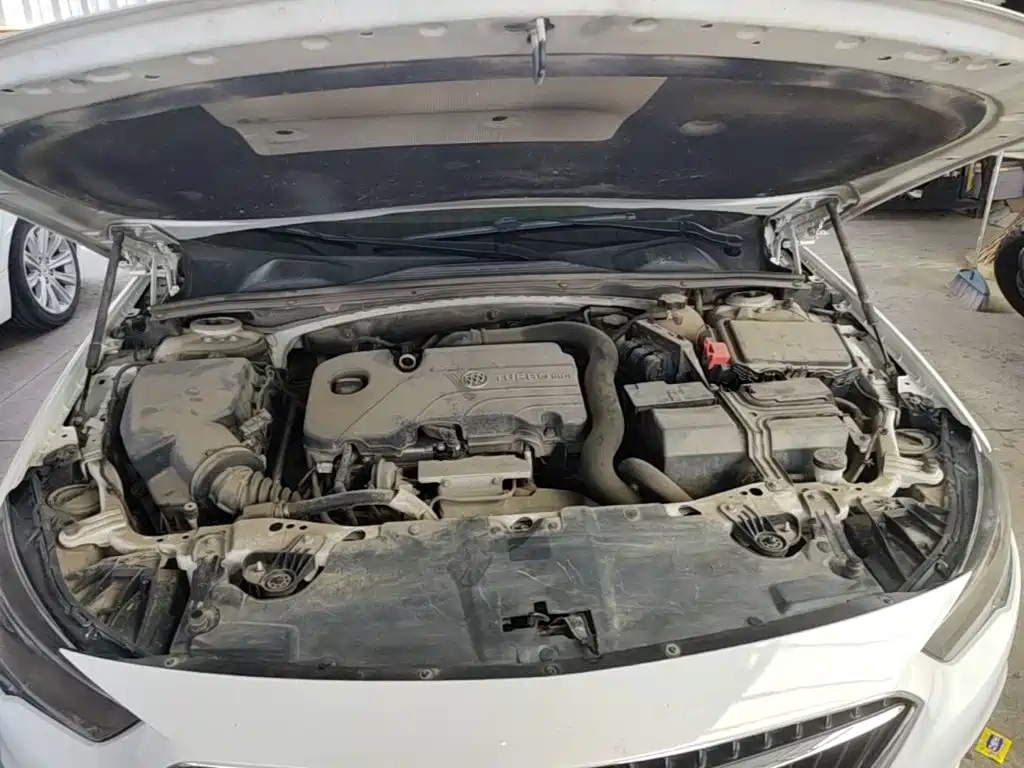 Buick Regal — миниатюра 20